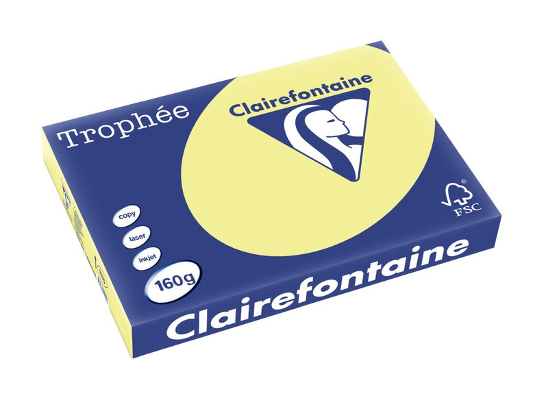 Carton A3 160 g/mp color pal 250/top Clairefontaine