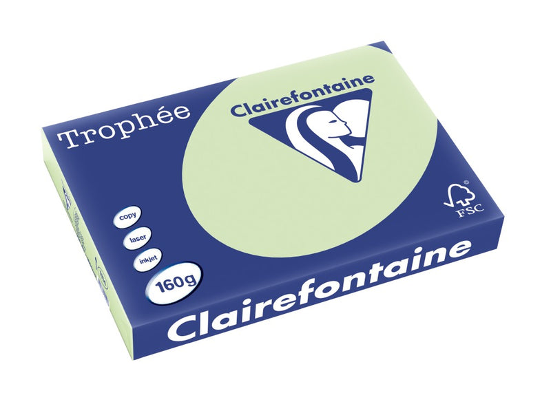 Carton A3 160 g/mp color pal 250/top Clairefontaine