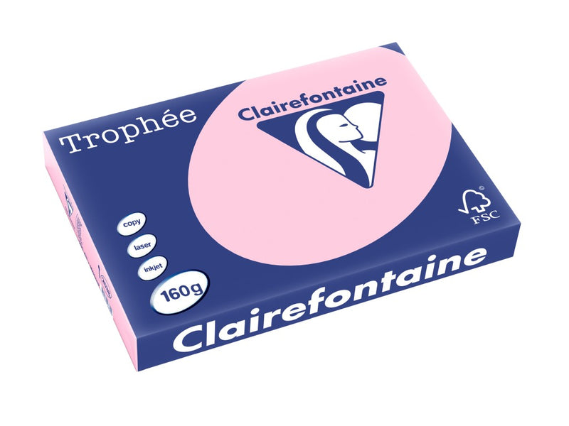 Carton A3 160 g/mp color pal 250/top Clairefontaine