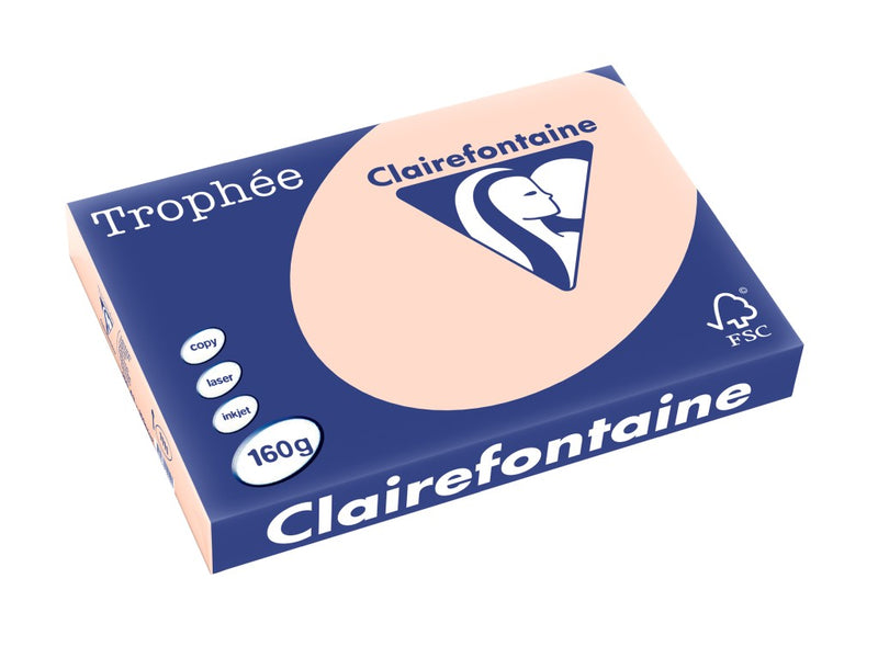 Carton A3 160 g/mp color pal 250/top Clairefontaine