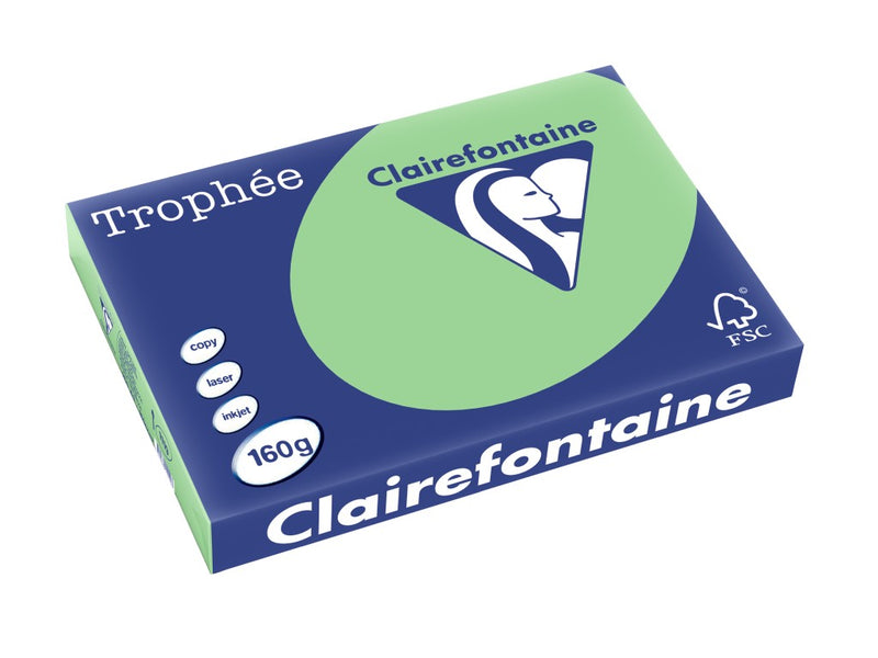 Carton A3 160 g/mp color pal 250/top Clairefontaine