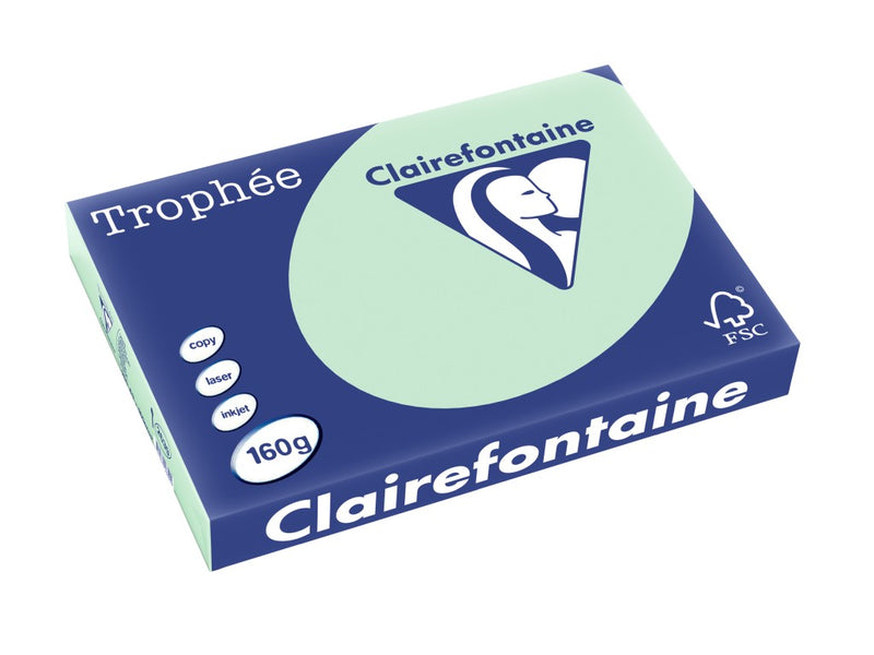 Carton A3 160 g/mp color pal 250/top Clairefontaine