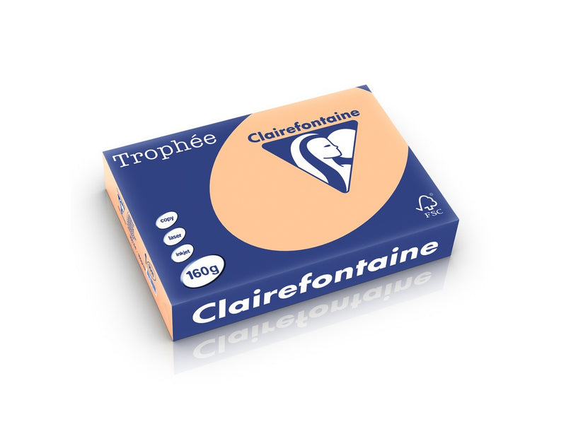Carton A4 160 g/mp color pal 250 file/top Clairefontaine