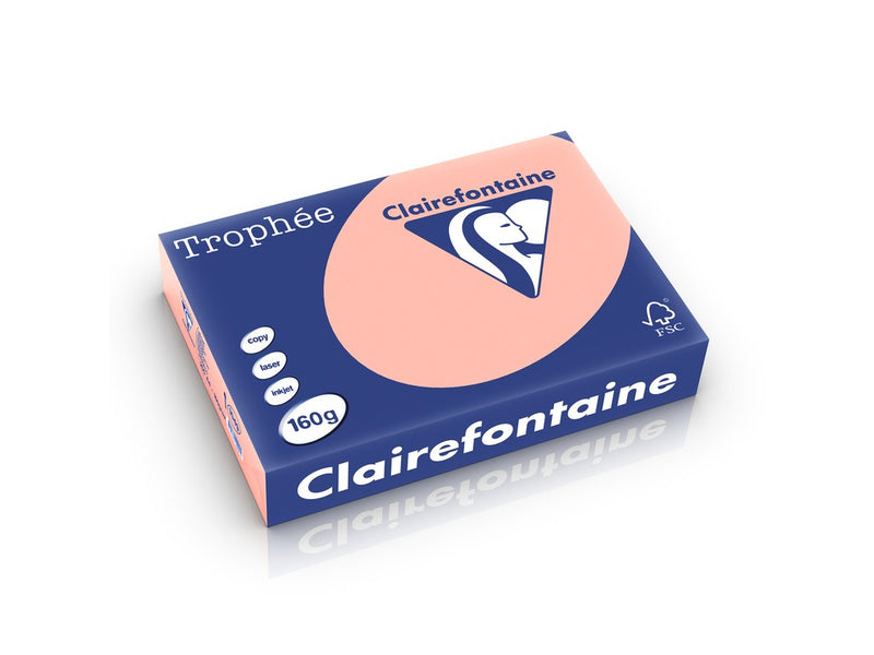 Carton A4 160 g/mp color pal 250 file/top Clairefontaine