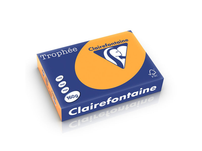 Carton A4 160 g/mp color pal 250 file/top Clairefontaine