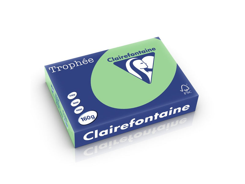 Carton A4 160 g/mp color pal 250 file/top Clairefontaine