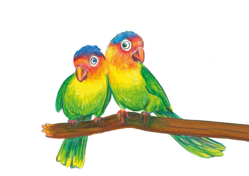 Creioane colorate triunghiulare + ascuțitoare eco Faber-Castell 12 culori/set