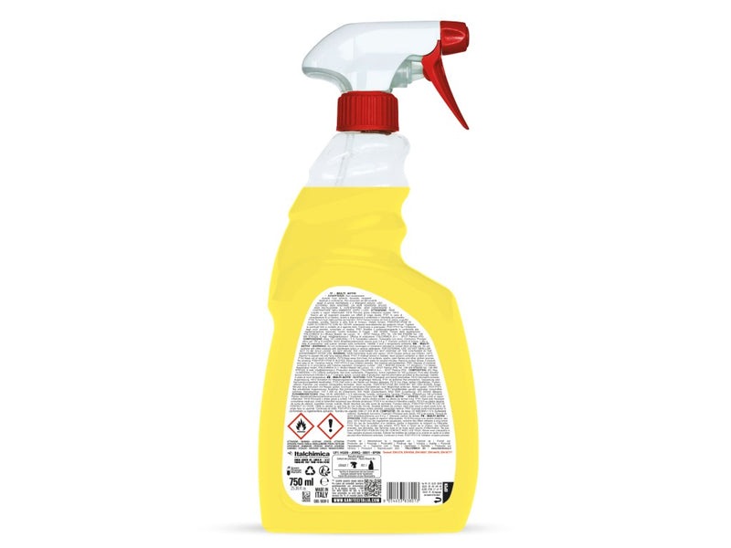 Dezinfectant pentru suprafețe 750 ml Multi Activ