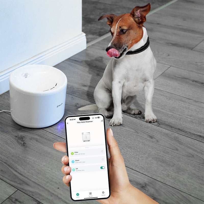 Dispenser apă animale WiFi Tellur Smart, 2L, Alb
