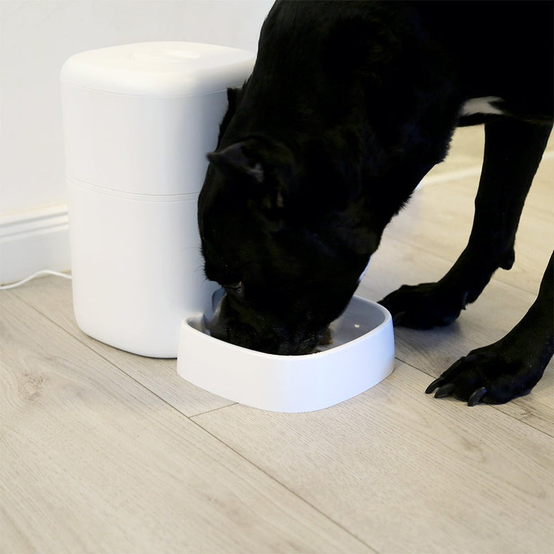 Dispenser hrană animale WiFi Tellur Smart, Cameră UltraHD, 4L, Alb