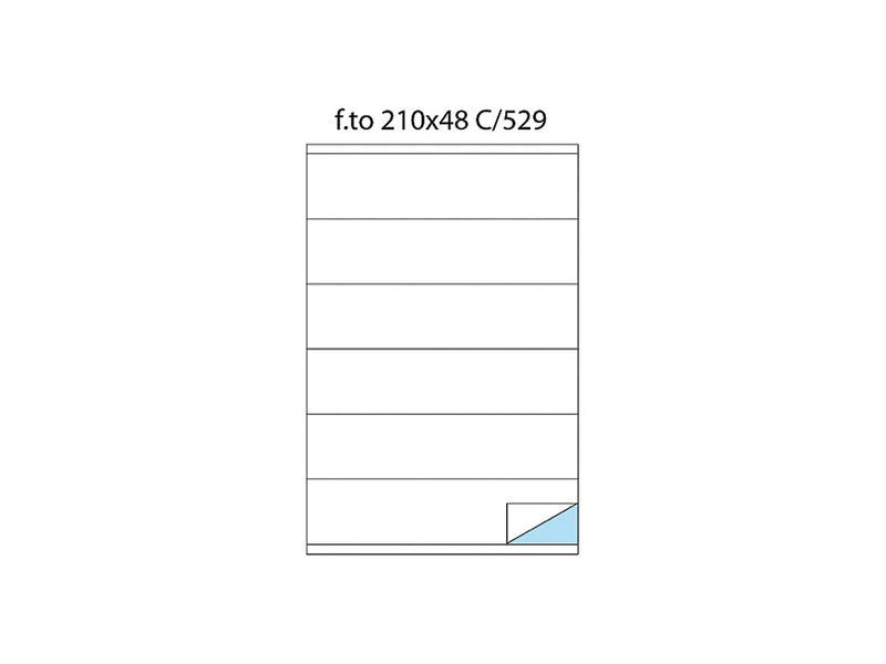 Etichete 6/A4 210 x 48 100/set