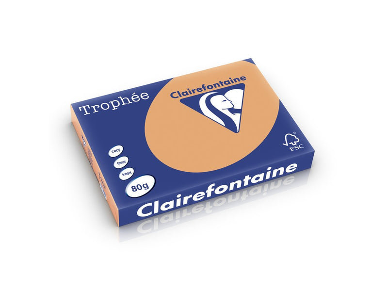 Hârtie A3 80 g/mp color pal 500/top Clairefontaine