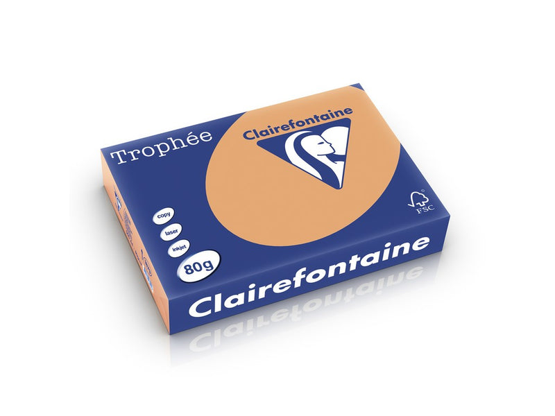 Hârtie A4 80 g/mp color pal 500/top Clairefontaine