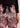 Pantaloni Damă Beatrice Tora Satin
